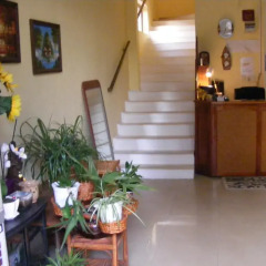 Отель Zora Guest House интерьер отеля