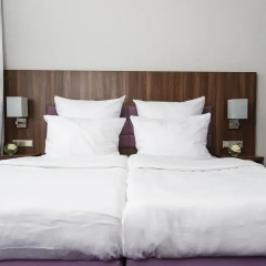 AKZENT Hotel Laupheimer Hof 3* Стандартный номер с двуспальной кроватью фото 8