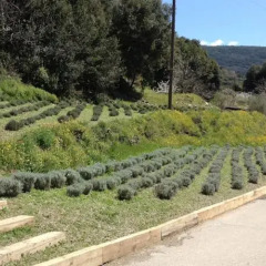 Отель El Porxo De Can Baixeres Монсени фото 2