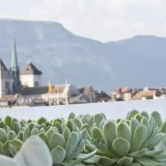 Отель Four Seasons Hotel Geneva Швейцария, Женева - отзывы, цены и фото номеров - забронировать отель Four Seasons Hotel Geneva онлайн фото 3