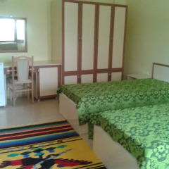 Отель Guesthouse Gostilitsa Болгария, Боженци - отзывы, цены и фото номеров - забронировать отель Guesthouse Gostilitsa онлайн комната для гостей фото 2