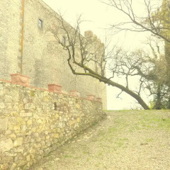 Отель Colonica Torre Del Castellano Реггелло фото 4