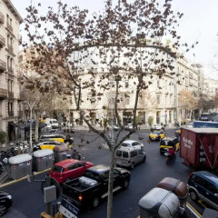 Отель Boutique Barcelona Bed and Breakfast Испания, Барселона - отзывы, цены и фото номеров - забронировать отель Boutique Barcelona Bed and Breakfast онлайн