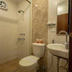 Hotel Aster Inn 3* Номер Комфорт с различными типами кроватей фото 10