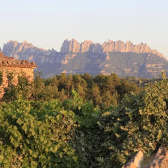 Отель Castell de Guardiola фото 7