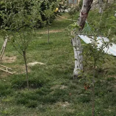 Отель Dil Hill Армения, Дилижан - отзывы, цены и фото номеров - забронировать отель Dil Hill онлайн спортивное сооружение
