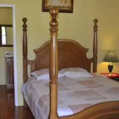 Отель Little Shaw Park Guest House 2* Стандартный номер с различными типами кроватей фото 5