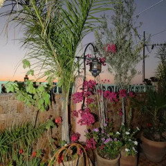 Отель Riad Kech 2* Номер категории Эконом с различными типами кроватей фото 4