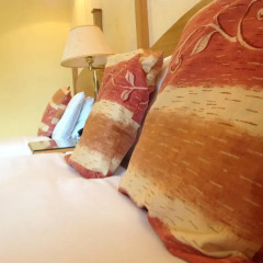 The Lucan Spa Hotel 3* Стандартный номер с разными типами кроватей