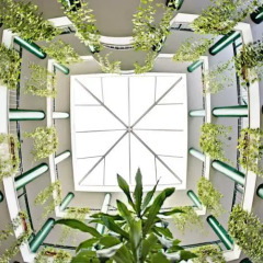 Отель Apartamentos Vértice Bib Rambla Испания, Севилья - отзывы, цены и фото номеров - забронировать отель Apartamentos Vértice Bib Rambla онлайн фото 10