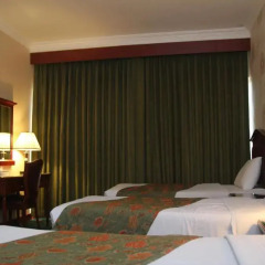 Mount Royal Hotel 2* Номер Делюкс фото 8