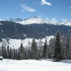 Отель In Center Of Davos Швейцария, Давос - отзывы, цены и фото номеров - забронировать отель In Center Of Davos онлайн спортивное сооружение
