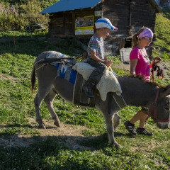 Отель Chalet Dorril Нендаз развлечения
