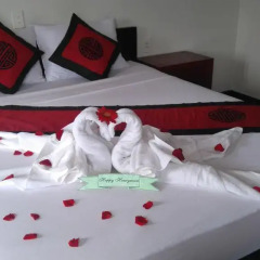 Отель Green Coco Homestay Hoi An 2* Стандартный номер с различными типами кроватей фото 21