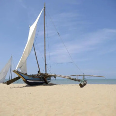 Отель Ocean View Tourist Guest House пляж