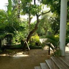 Отель Sanoga Holiday Resort Шри-Ланка, Тиссамахарама - отзывы, цены и фото номеров - забронировать отель Sanoga Holiday Resort онлайн фото 7