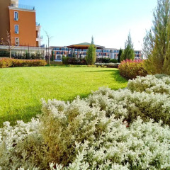 Апартаменты Oxygen Apartments Свети Влас фото 10