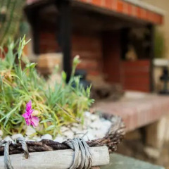 Отель Oreiades Guesthouse интерьер отеля фото 2