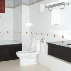 A1 Hotel 3* Номер Делюкс с различными типами кроватей фото 6