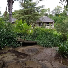 Отель Avoca River Cabins фото 19