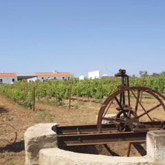 Отель Quinta De SÃo Gabriel Кастру-Марин детские мероприятия