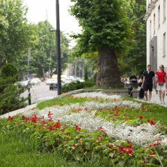 Отель BHM Hostel Грузия, Тбилиси - отзывы, цены и фото номеров - забронировать отель BHM Hostel онлайн спортивное сооружение