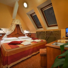 Union Hotel Prague 4* Номер Делюкс