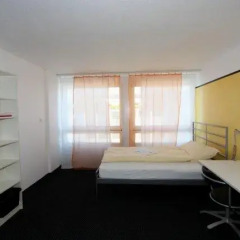 Primestay Self Check-in Hotel Altstetten 2* Стандартный номер с различными типами кроватей фото 5