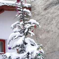 Отель Davidovi Relax Guest Rooms Болгария, Варна - отзывы, цены и фото номеров - забронировать отель Davidovi Relax Guest Rooms онлайн