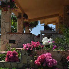Отель Il Giardino Di Cloe Италия, Агридженто - отзывы, цены и фото номеров - забронировать отель Il Giardino Di Cloe онлайн фото 3