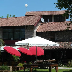 Отель Agriturismo Il Cammino Палаццоло-делло-Стелла фото 15