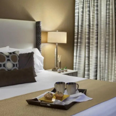 Отель Holiday Inn Club Vacations: Las Vegas at Desert Club Resort 3* Стандартный номер с различными типами кроватей