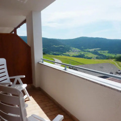 Отель Pension Schlaneiderhof 2* Стандартный номер