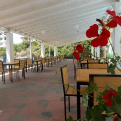 Hotel Dea питание
