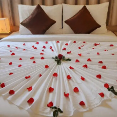 Begonia Nha Trang Hotel комната для гостей фото 4