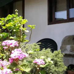 Hostel Pashov Велико Тырново фото 6