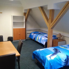 Отель Hostel House Эстония, Таллин - отзывы, цены и фото номеров - забронировать отель Hostel House онлайн комната для гостей фото 5