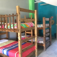 Baja's Cactus Hostel Стандартный номер с различными типами кроватей фото 3