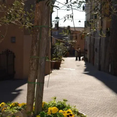 Отель La Vite In Castello Монтескудаио