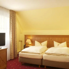 Hotel Landhaus Seela 4* Стандартный номер с двуспальной кроватью фото 4