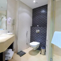 Corp Amman Hotel 4* Номер Делюкс с различными типами кроватей фото 7