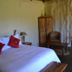 Отель Chrislin African Lodge 4* Бунгало с различными типами кроватей фото 3