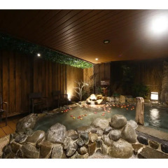 Отель Dormy Inn Tokyo-Hatchobori Natural Hot Spring бассейн