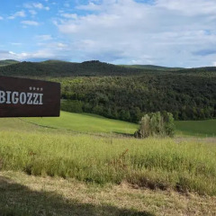 Отель Relais Castelbigozzi Строве фото 9