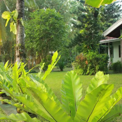 Отель Villa Shade 2* Вилла с различными типами кроватей фото 16