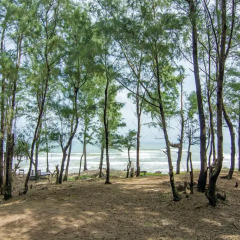 Отель Shadyside пляж фото 2
