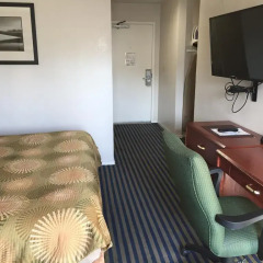 Отель Buena Vista Motor Inn 2* Стандартный номер с различными типами кроватей фото 18