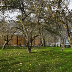 Отель Villa Jrhogher Dilijan детские мероприятия