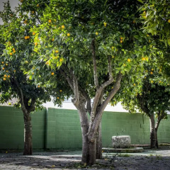 Отель Hostal San Miguel Испания, Трухильо - отзывы, цены и фото номеров - забронировать отель Hostal San Miguel онлайн