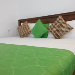 Golden Park Hotel Номер Делюкс с различными типами кроватей фото 12